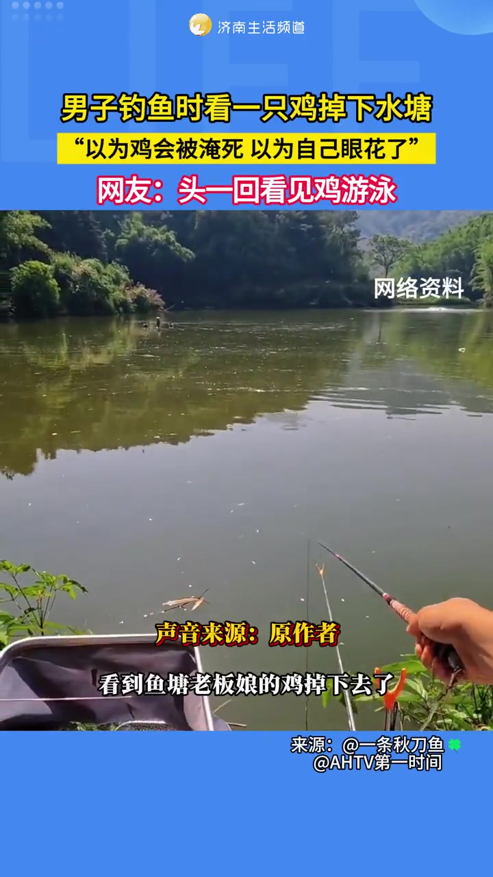 1月14日（采访），广东中山。男子钓鱼时看一只鸡掉下水塘，“以为鸡会被淹死，以为自己眼花了