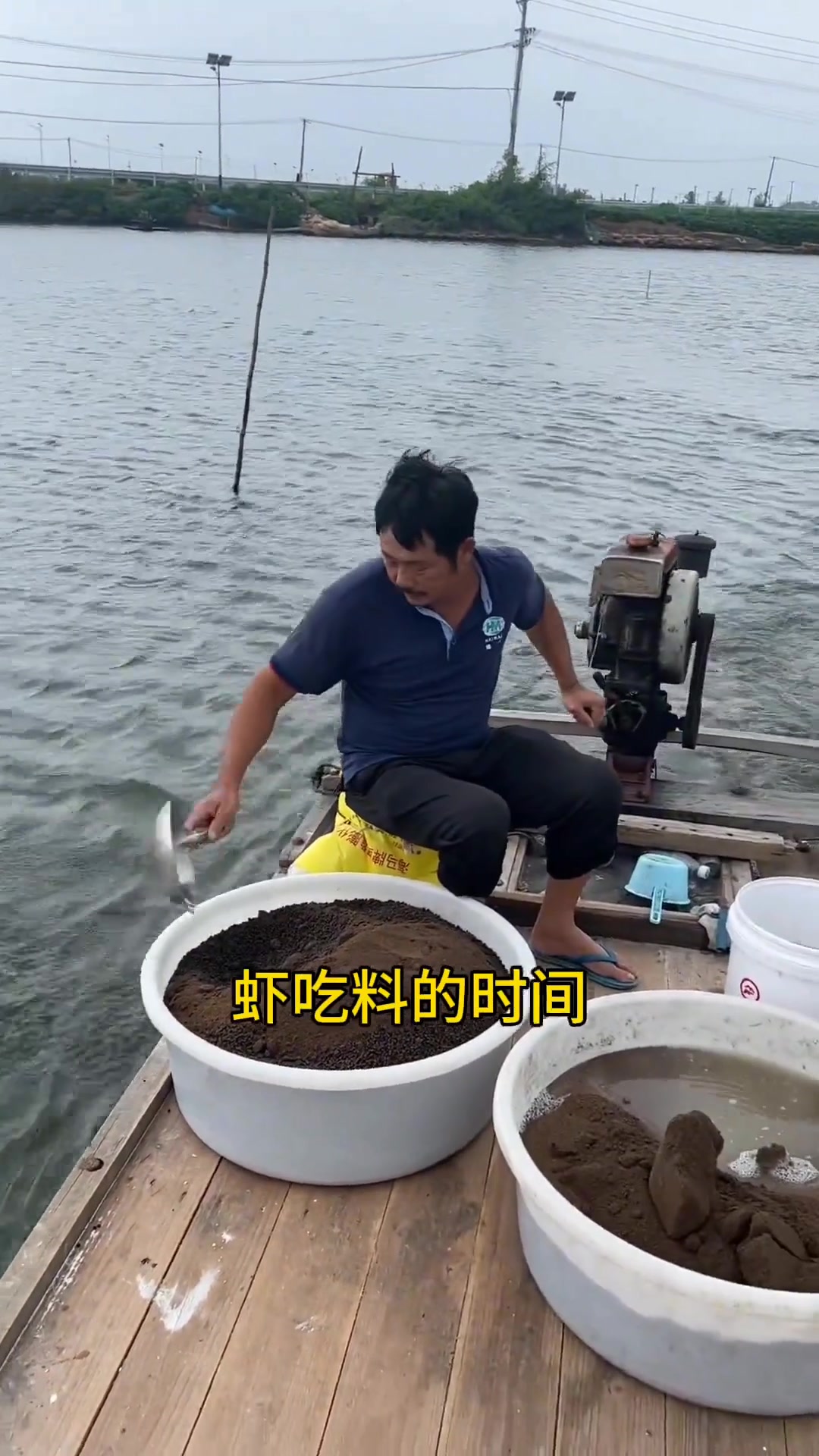 天冷对虾吃料慢怎么办?这些解决办法值得一看!