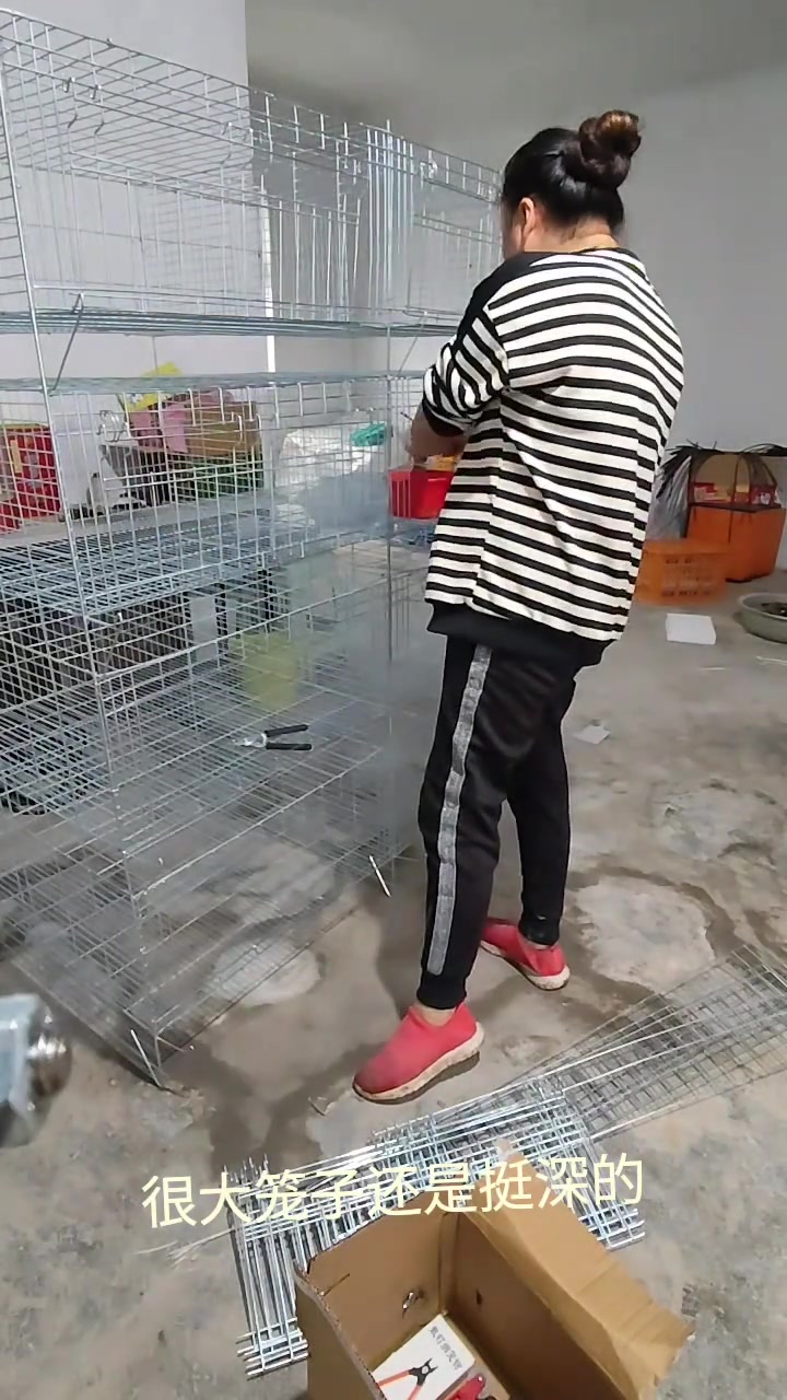 历时多天,一个鸡笼终于组装完工啦!