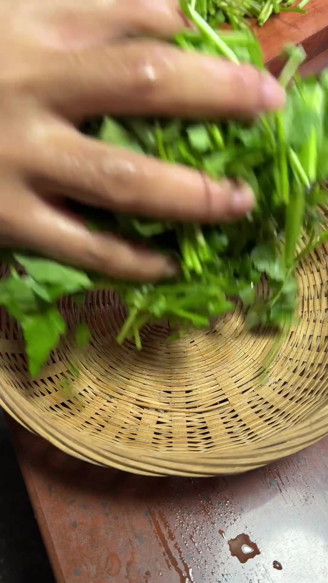 没想到我今年种的凉薯竟然这么大个