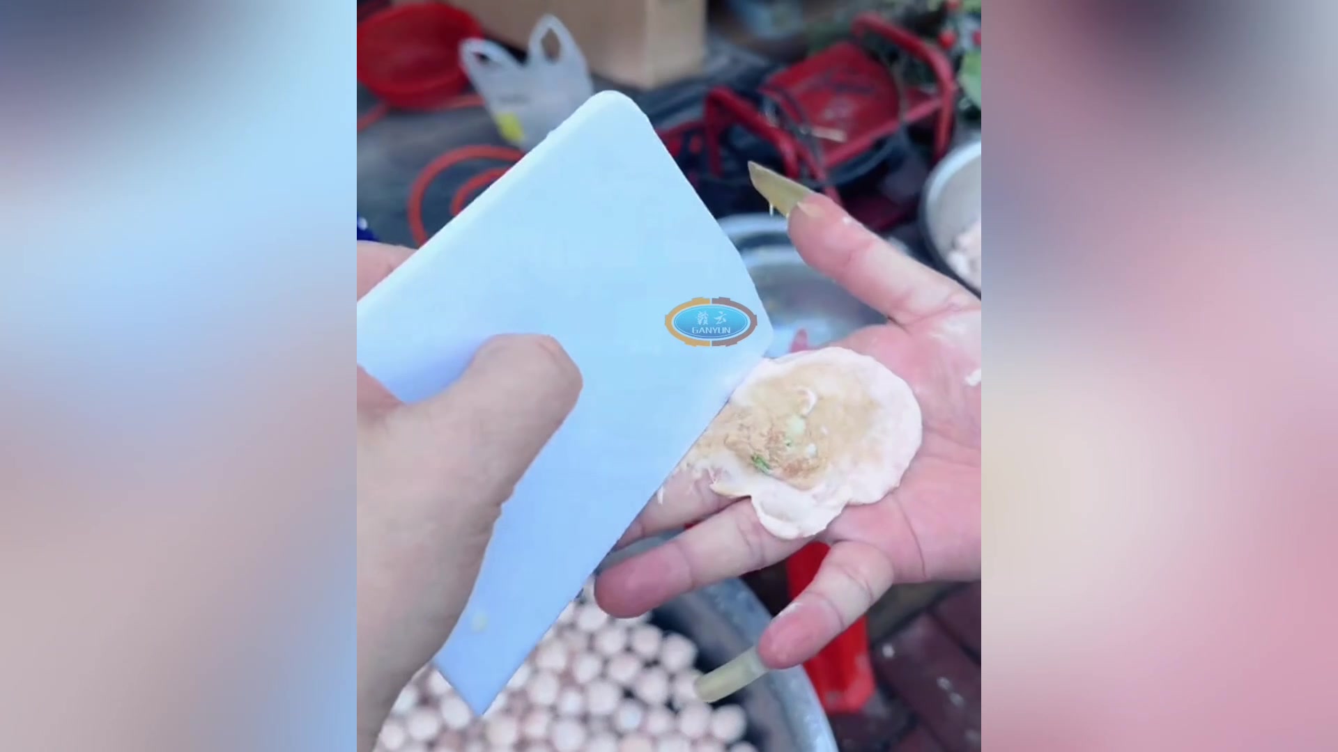 全自动包心肉丸鱼丸机制作丸子过程