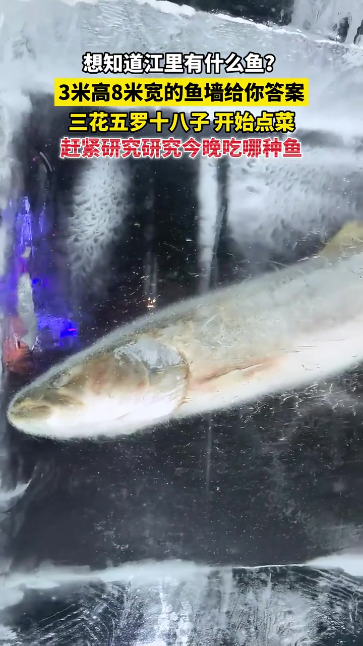「龙江县融」黑龙江同江:想知道黑龙江有什么鱼?3米高8米宽的鱼墙给你答案,三花五罗十八子