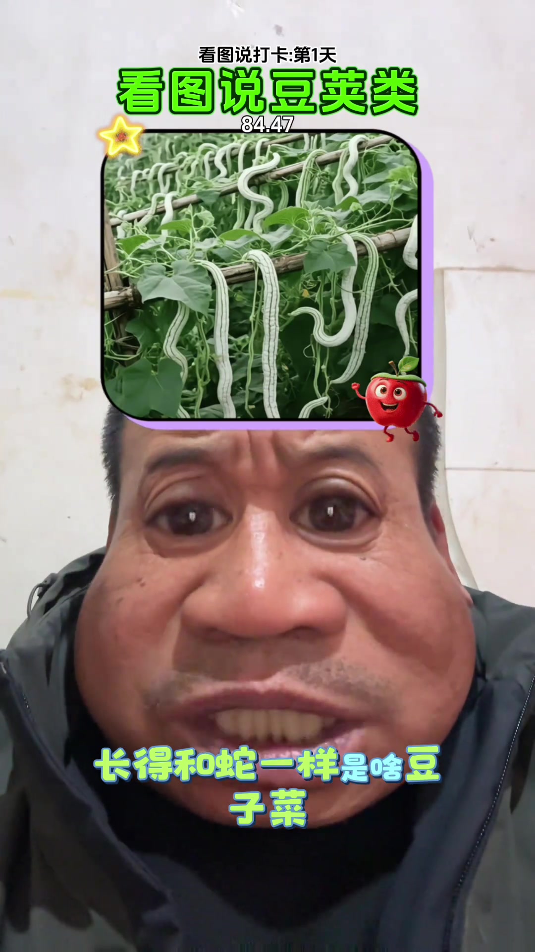 果农阿军：最爱种多品种豆子菜