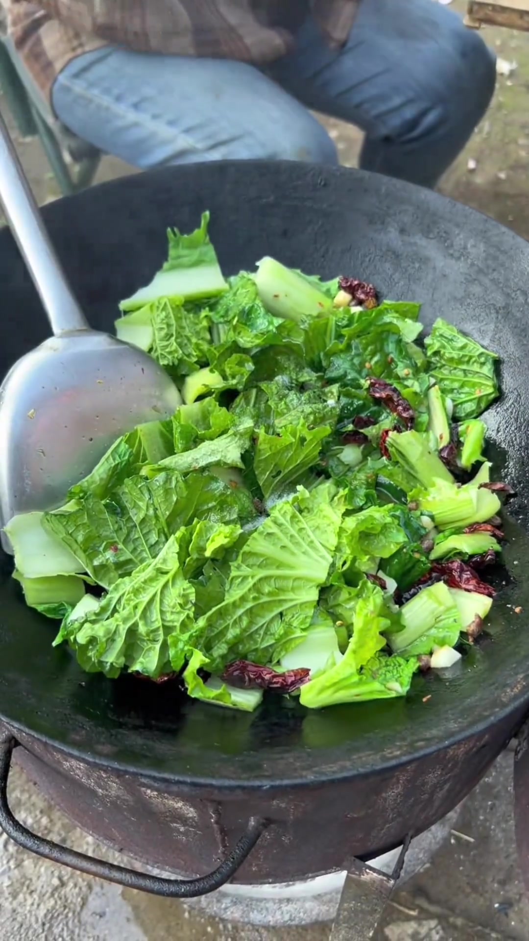 一年四季都吃它,白菜青口菜小白菜真下饭