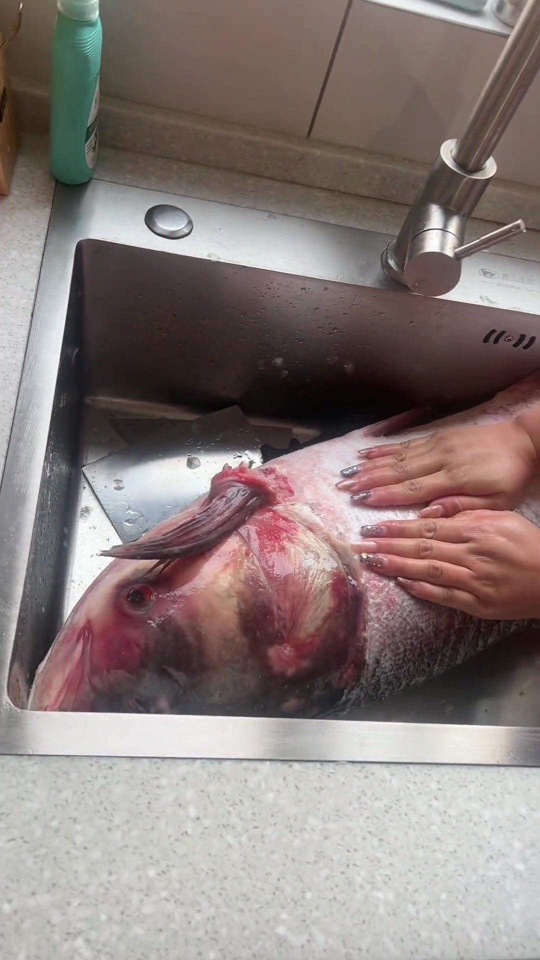 查干湖胖头鱼够肥美，一条能吃好多天