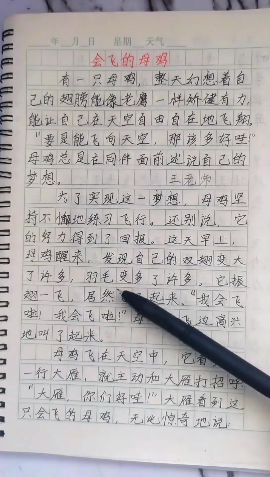童话故事：会飞的母鸡，小学三年级必会作文指导