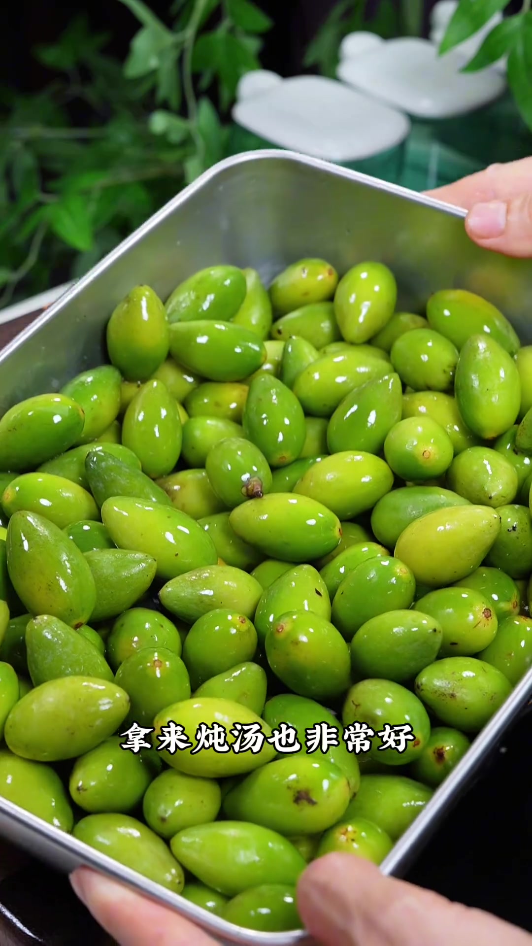 干燥天来碗福建青橄榄炖排骨，润喉又舒服