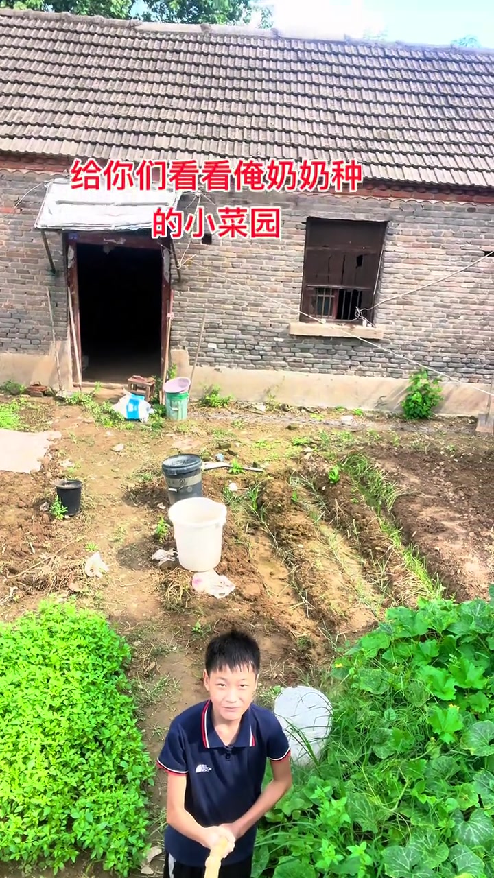跟着镜头!看看奶奶亲手打造的乡村小菜园
