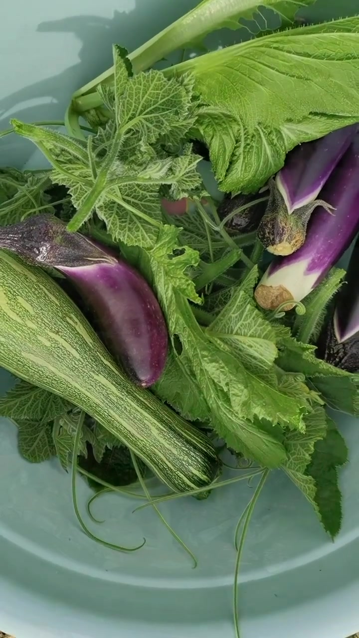 我的农村家常饭