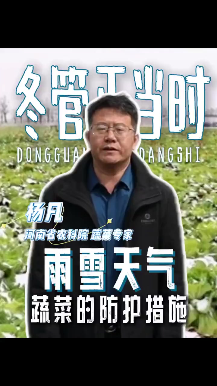 冬管正当时,雨雪天气蔬菜防护措施
