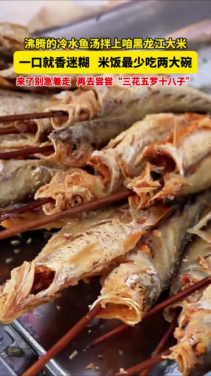 沸腾的冷水鱼汤拌上咱黑龙江大米,一口就香迷糊,米饭最少吃两大碗,来了别急着走,再去尝尝“三