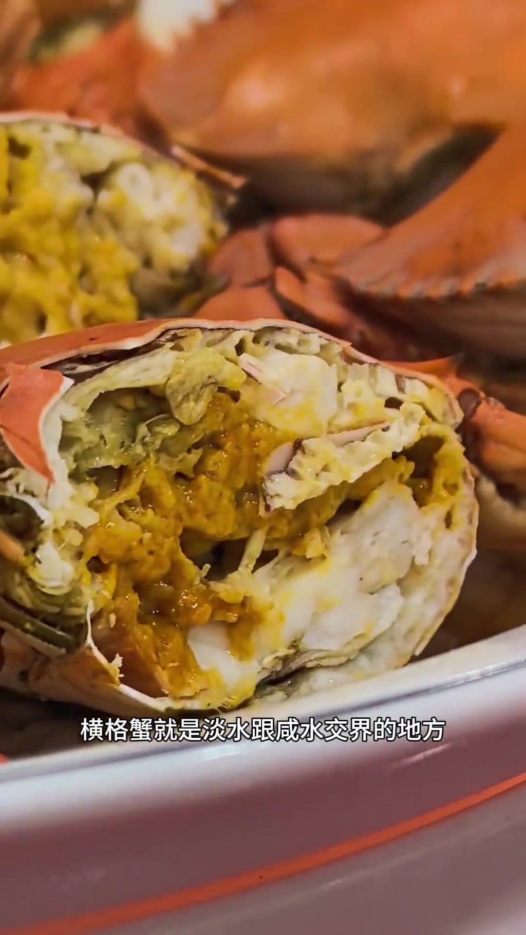 绍兴菜馆听唱书,品菜更有滋味