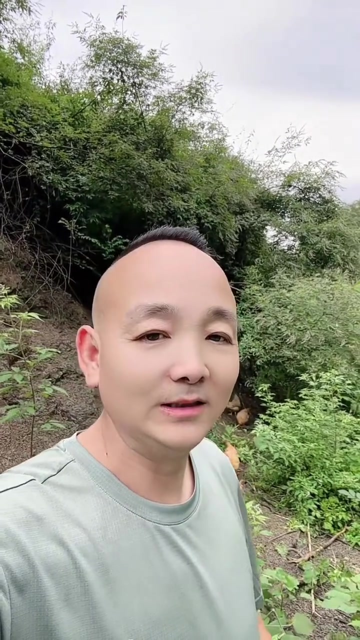 这才是真正的散养土鸡，你们说是不是？