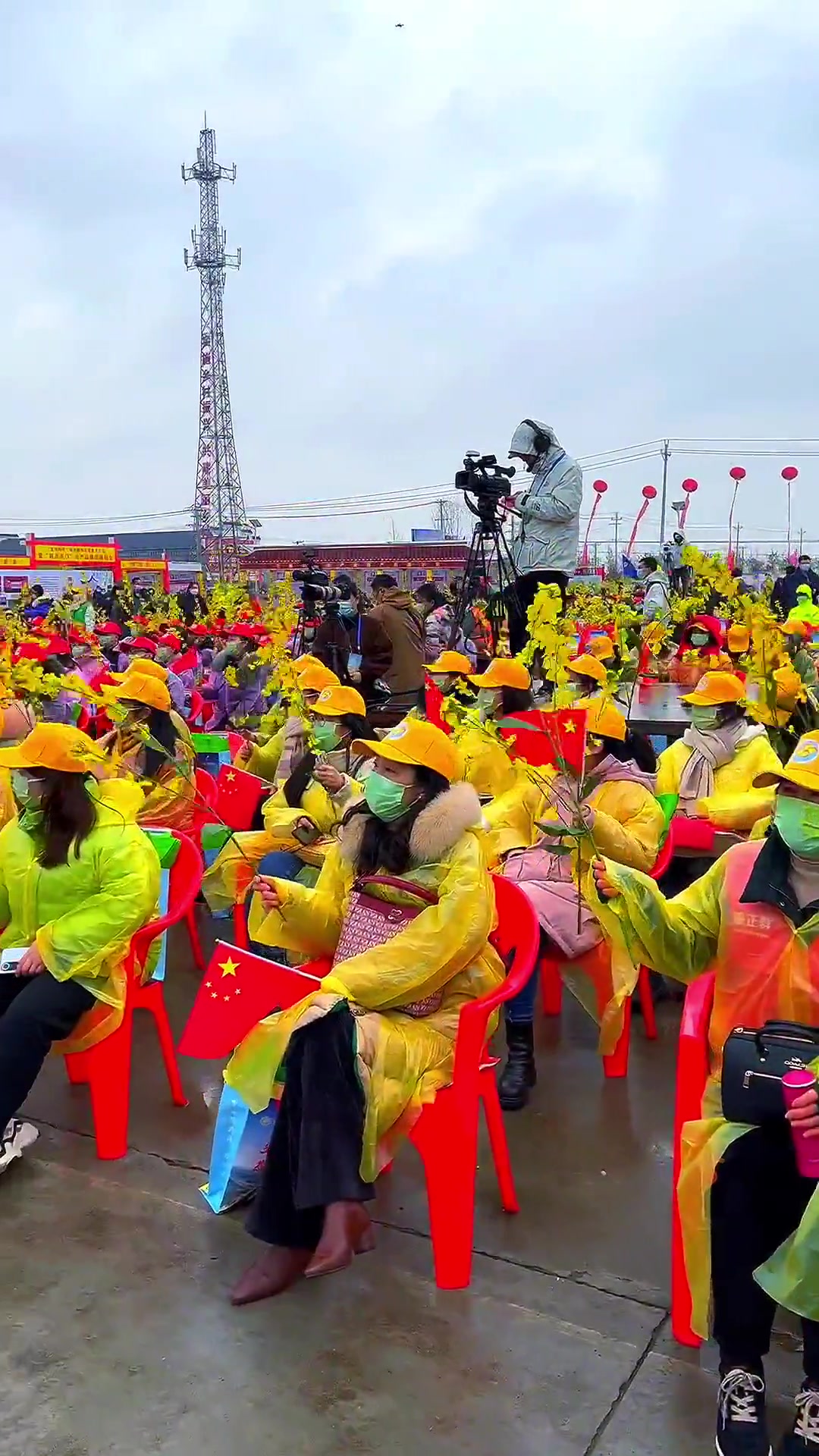 千里花海金色沙洋，荆门沙洋油菜花旅游节开幕