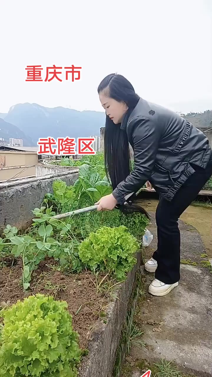 自己种的纯天然绿色蔬菜，没打农药天然又无公害！