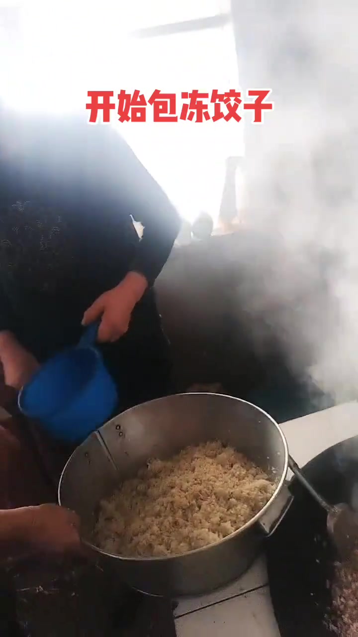 东北猫冬：包猪肉酸菜馅冻饺子