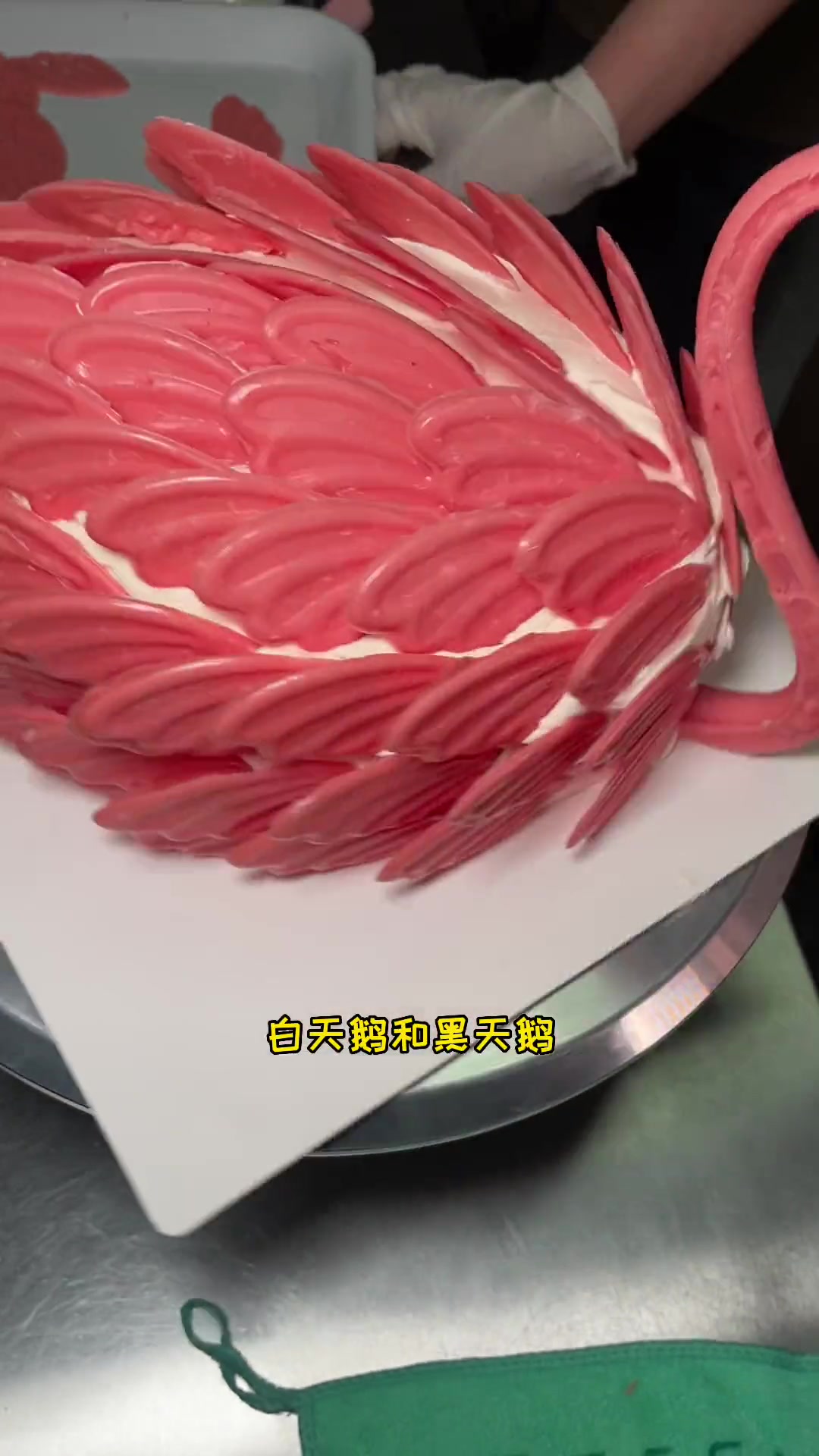 你吃过冰淇淋蛋糕吗？