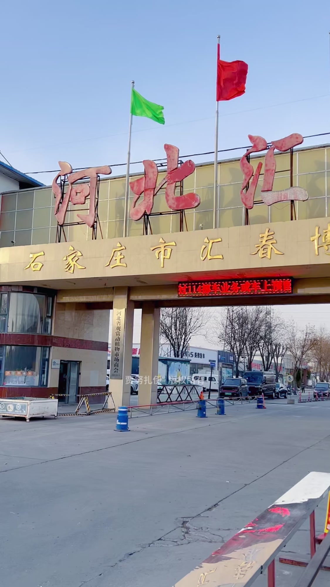 探访肖家营花鸟鱼虫市场,是否石家庄最大?