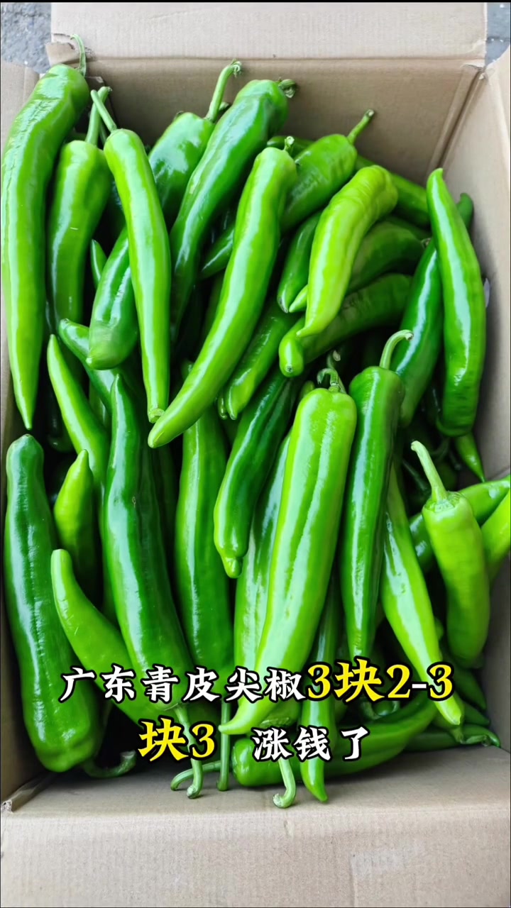 1月5日万邦蔬菜批发市场行情大揭秘！