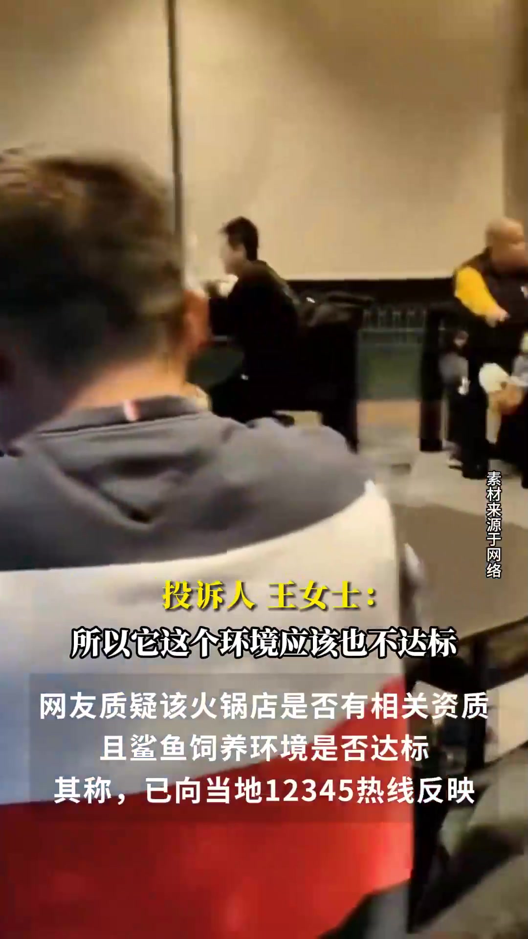 火锅店用鱼缸养鲨鱼供人观赏:两条柠檬鲨,有资质