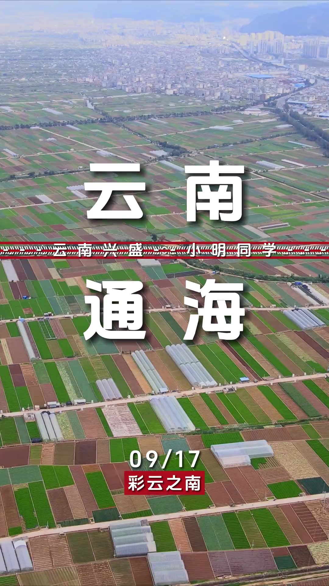 欢迎来到云南通海，中国最大的露天蔬菜种植基地，种子在这里发芽