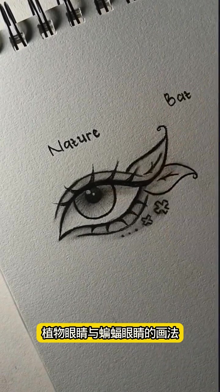 植物眼睛与蝙蝠眼睛的画法