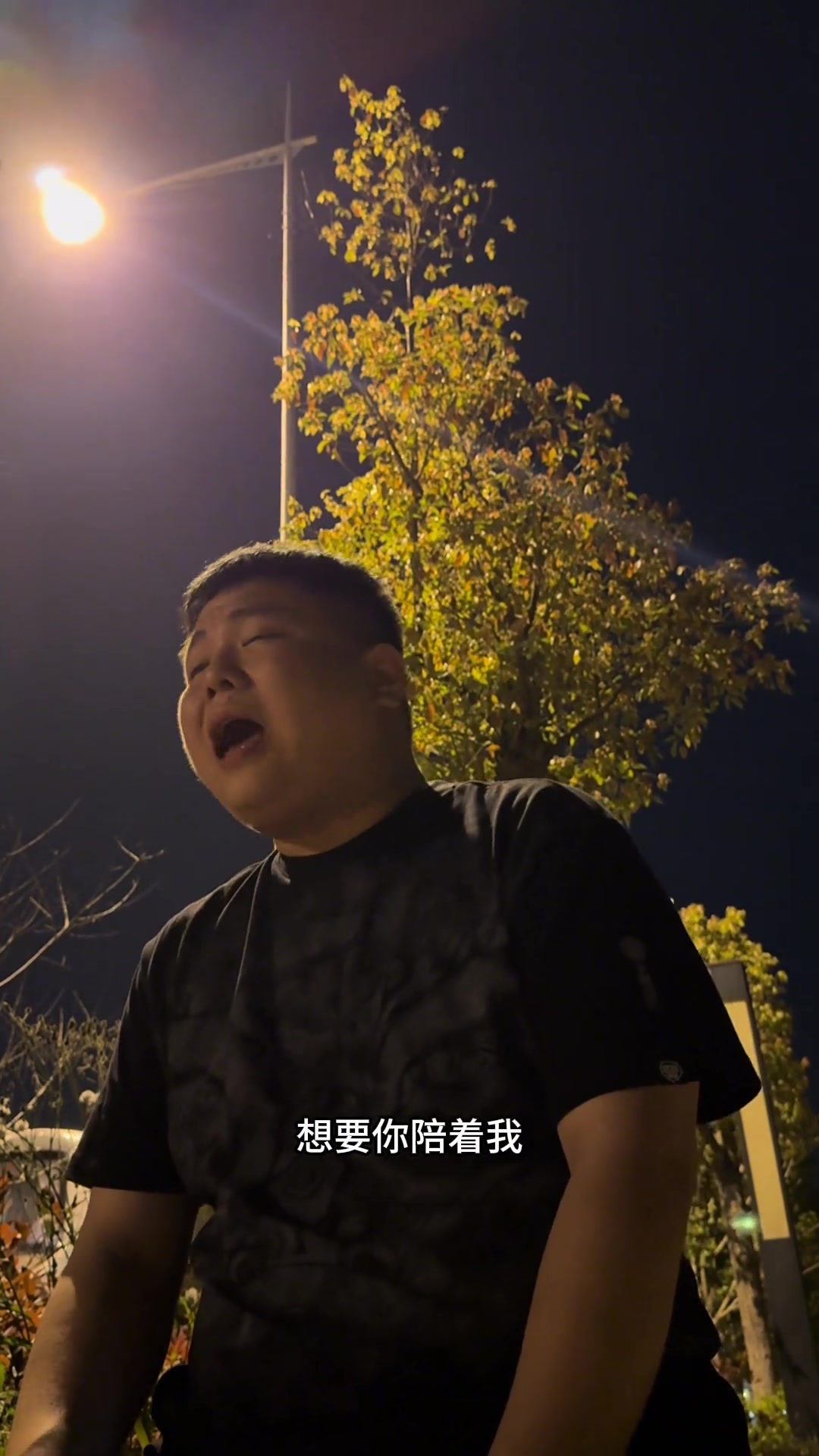 翻唱鱼仔，歌词里的陪伴感太戳人了