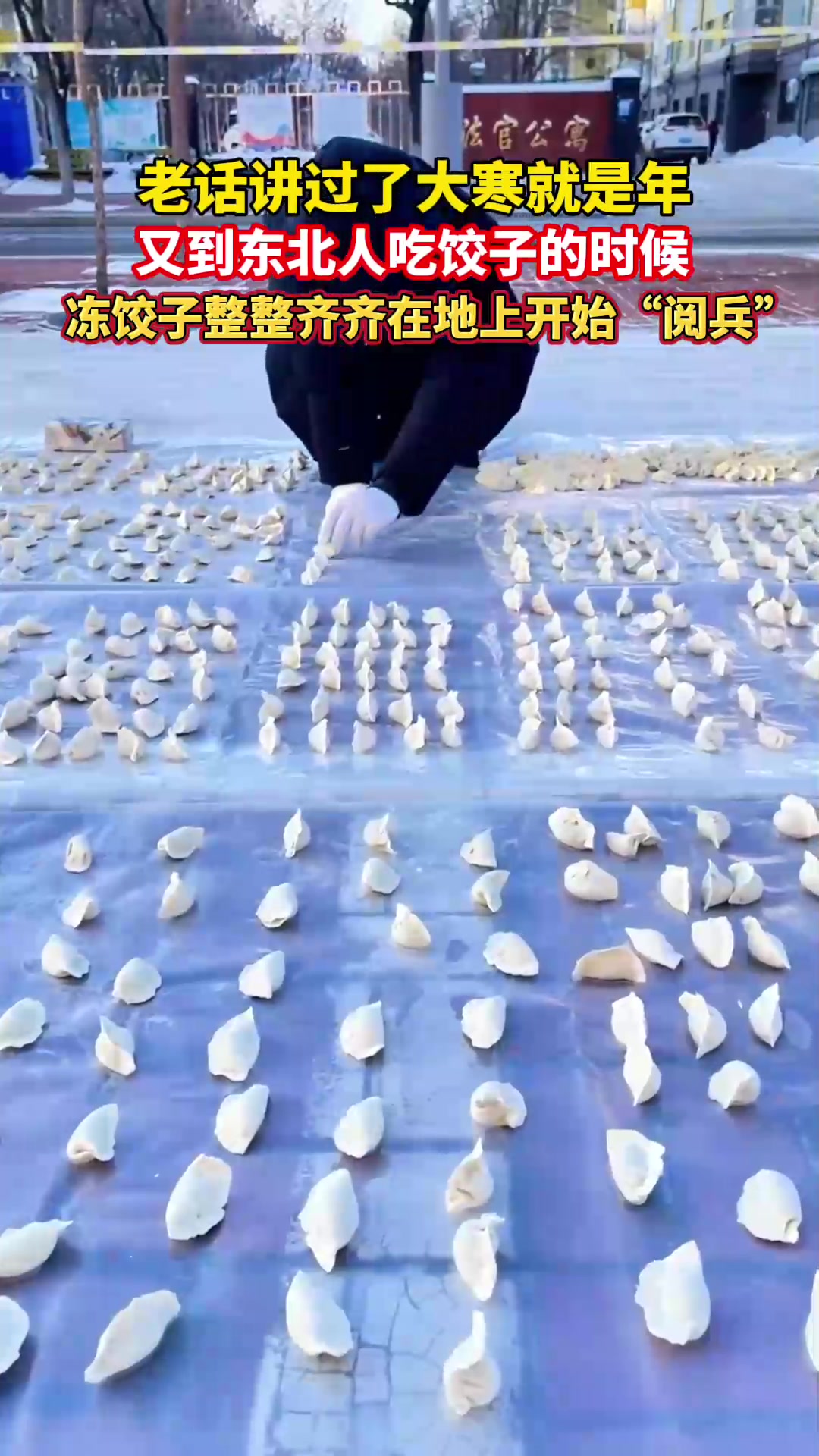 过了大寒就是年,东北冻饺子整整齐齐在地上开始“阅兵”