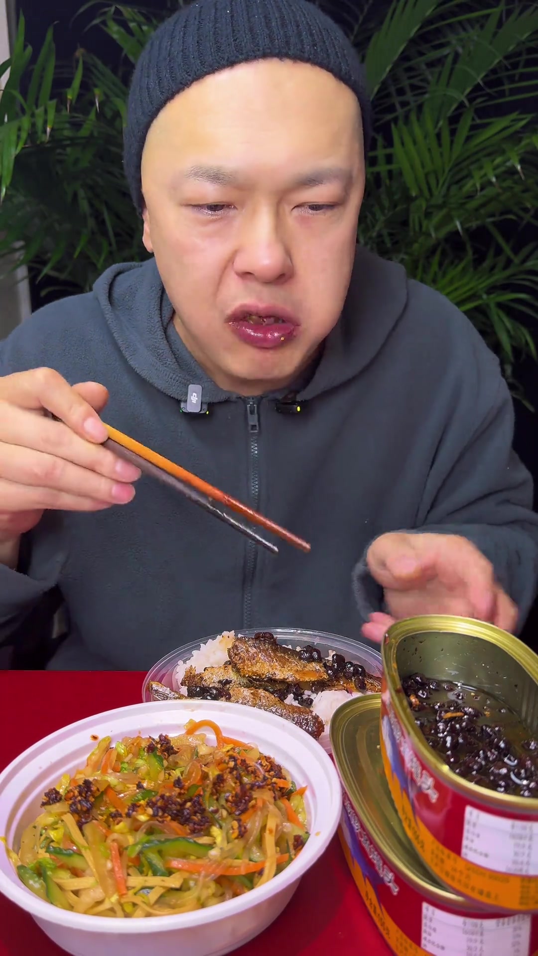 豆豉鲮鱼配凉菜，开袋即食的下饭美味，夜宵佳肴推荐