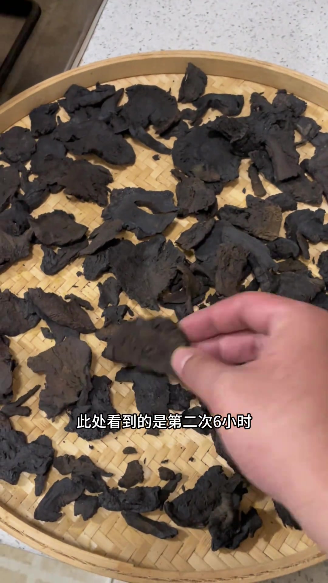 酒蒸熟大黄，三蒸三晒出胶质！