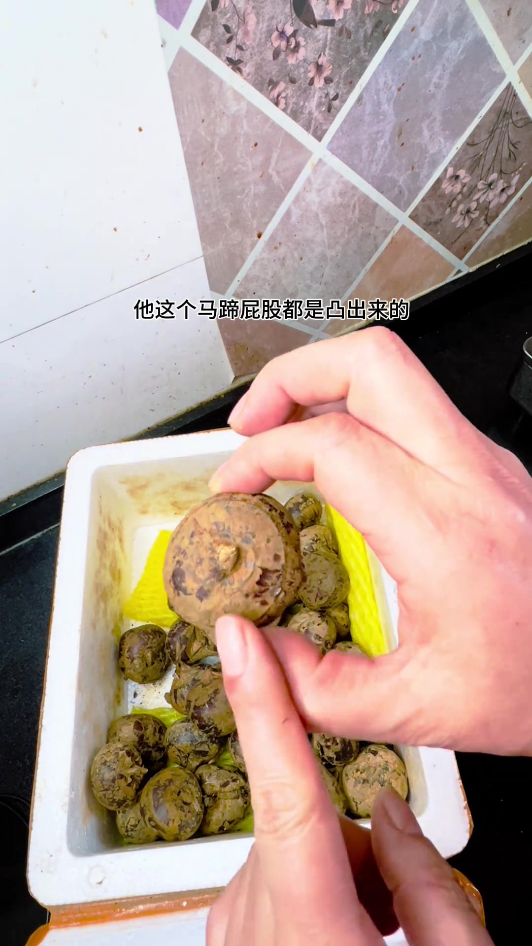 荠菜炒马蹄，春日清爽脆甜家常味