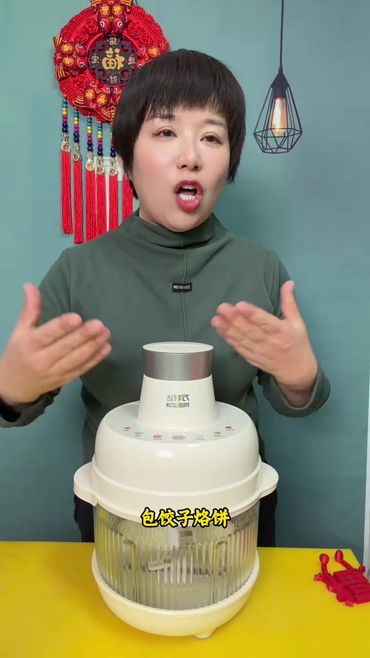 万利达品牌,五升大容量绞肉机,和面,绞肉,榨汁,绞菜馅 样样都行