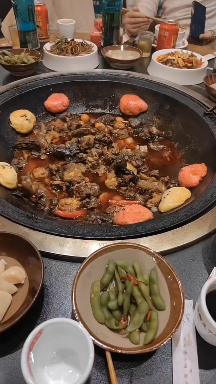 糖酒会期间在成都吃铁锅炖大鹅，味不错