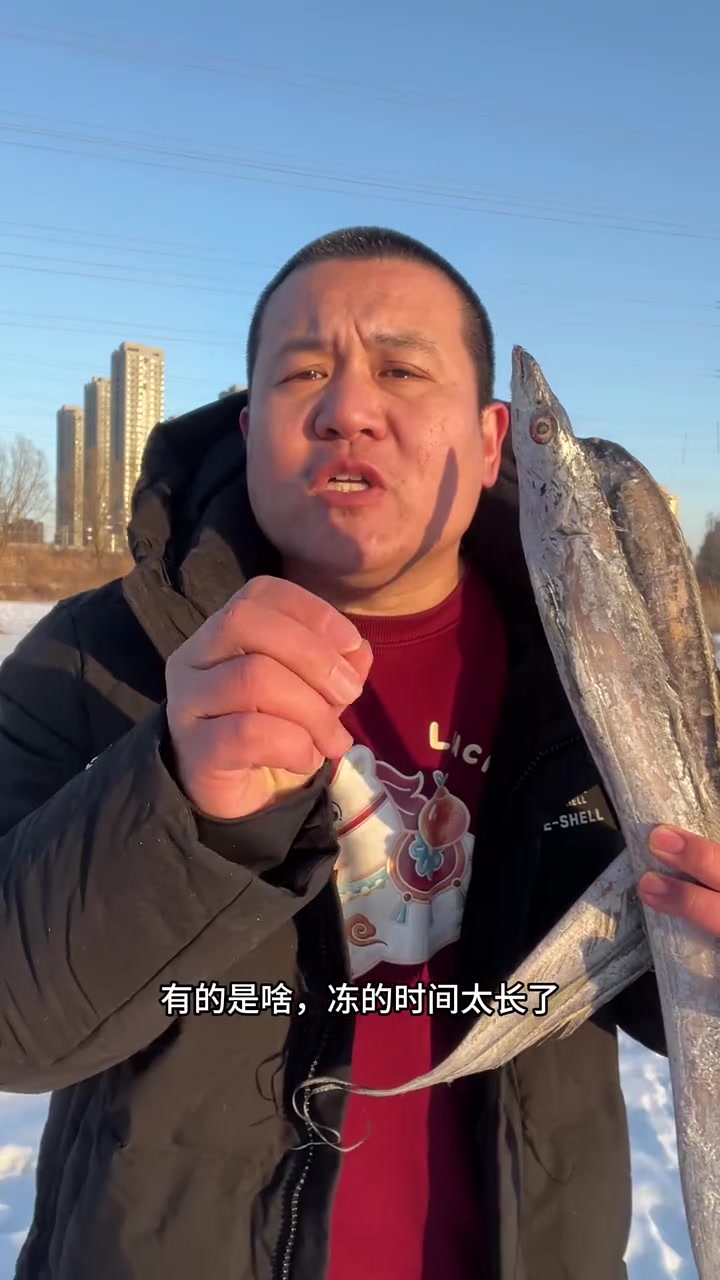 第81集|东北早市土豆哥揭秘:早市大连渤海带鱼挑选大法,让你一次买到新鲜的刀鱼,避免买到大