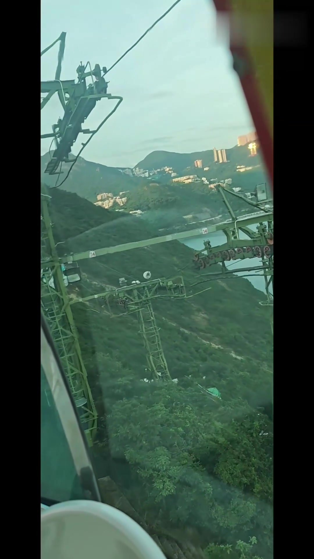香港海洋公园的水母和鱼