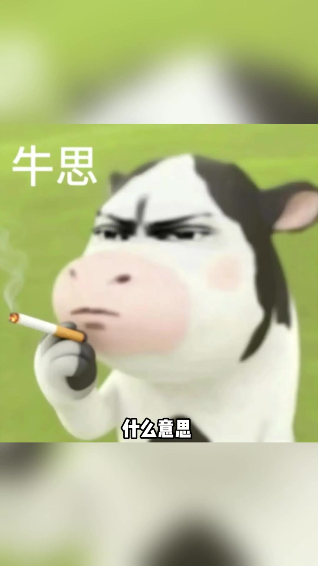 草地牛表情包的原型居然是？