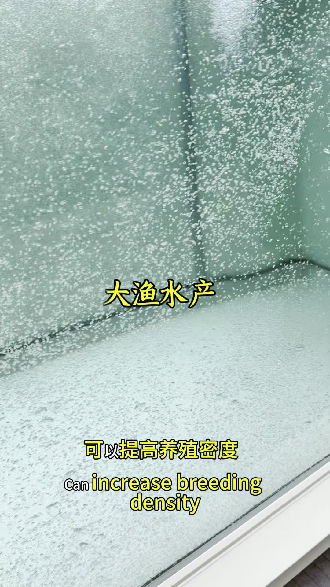 3*1.5*1.2带上滤观赏鱼池，有喜欢的吗？#鱼缸#养鱼人#源头工厂