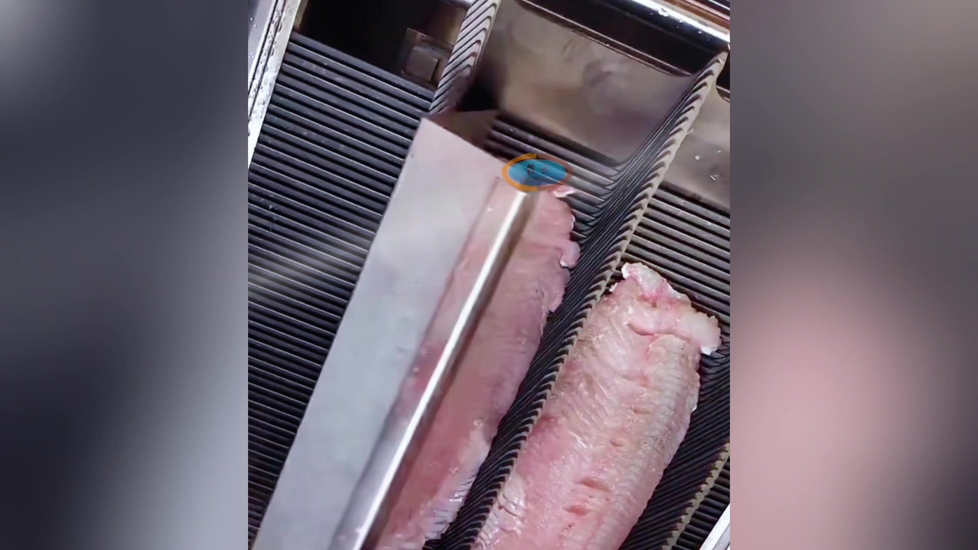 电动斜切鱼片机新鲜肉片切片机