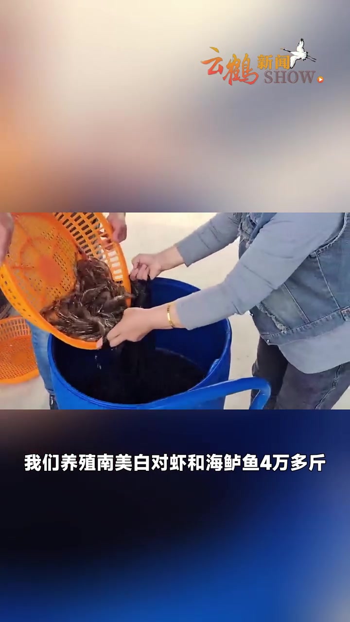 山坡地变身“深海渔场”！你相信吗？位于太行山区的鹤山区贾家村，竟养殖出了鲜美可口的白对虾和
