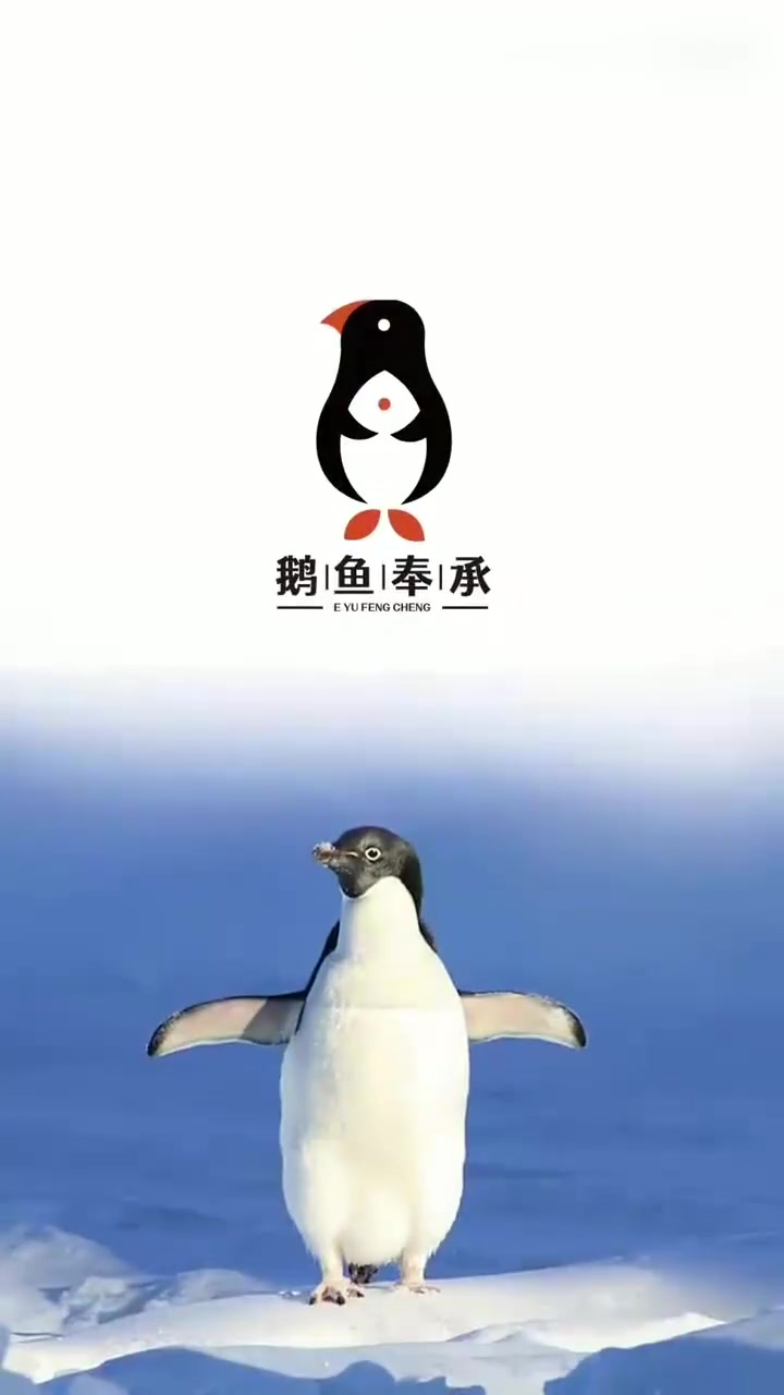 企鹅和鱼融合的创意logo你会喜欢吗？