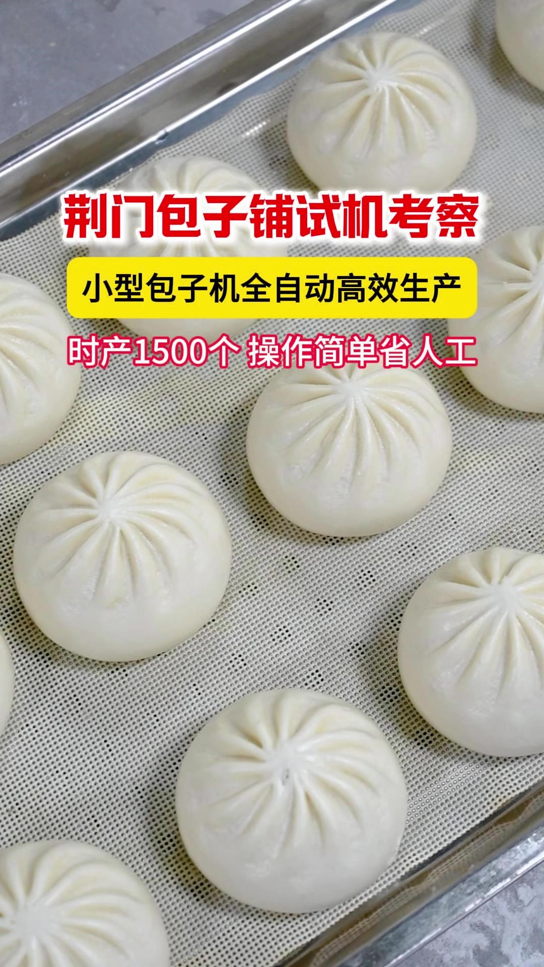 荆门包子铺试小型包子机，生产高效省时省力，时产1500个均匀包子