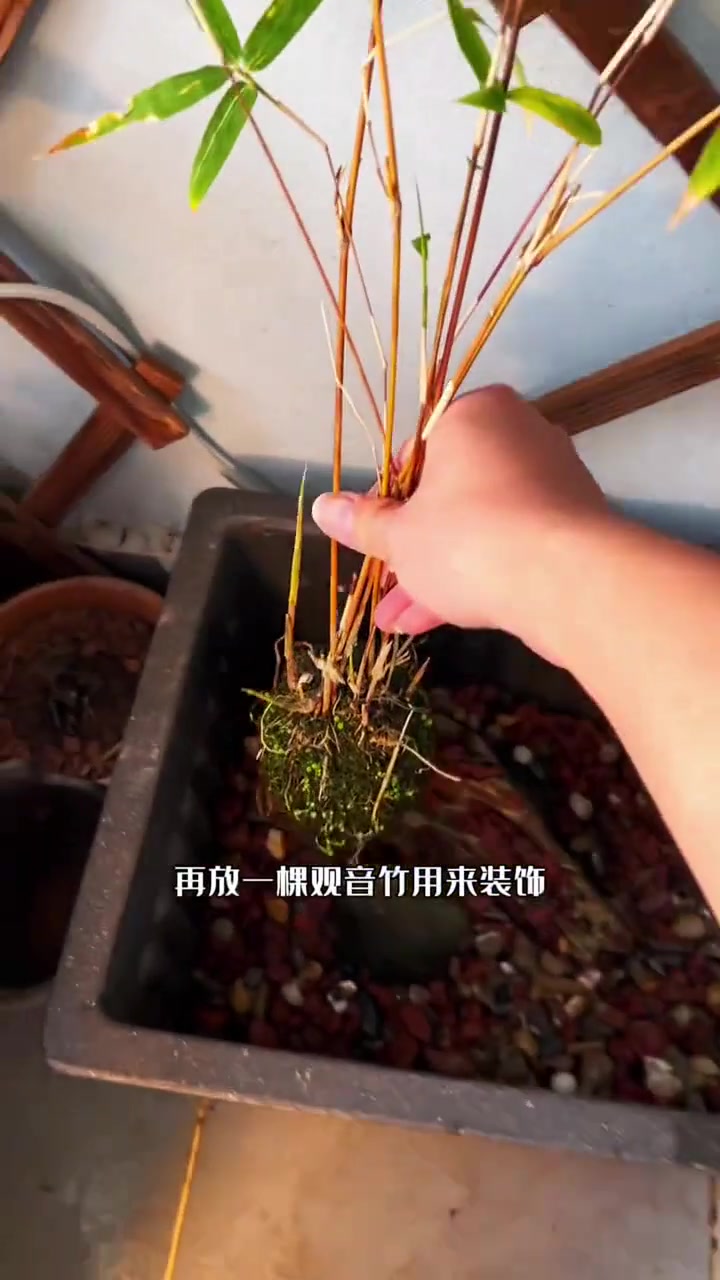如何用废弃的塑料花盆做个阳台鱼缸，一个视频教会你