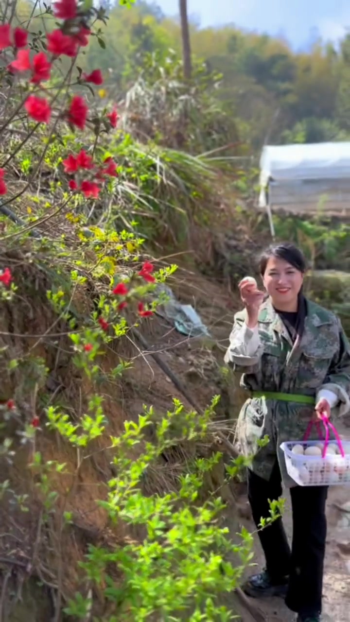 万物皆可爱,高山鸭蛋健康你我,准备回家做一些咸鸭蛋,因为它代表着思念