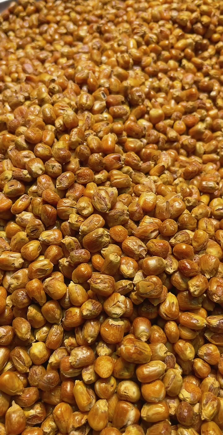 糯玉米烀完沙子炒 哑巴豆爆米花 嘎嘣脆 每袋400克