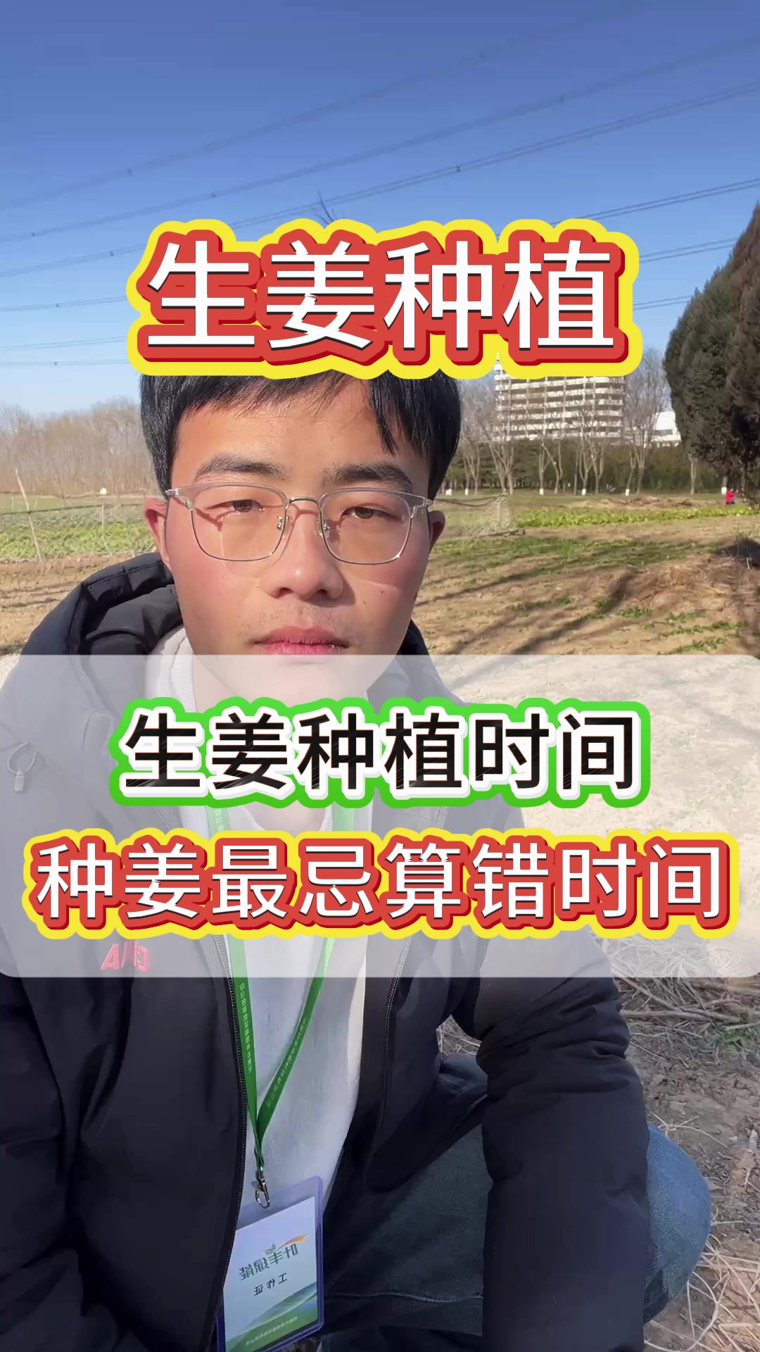 种植生姜时间,种姜最忌算错时间 生姜种植高产