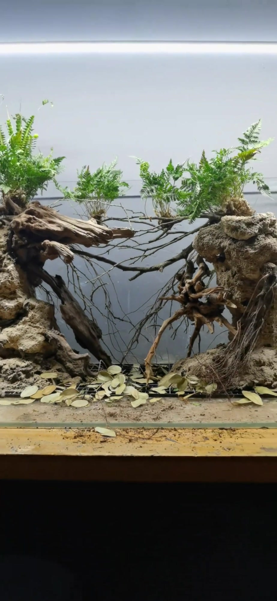 60X30X40塘泥河岸风格造景