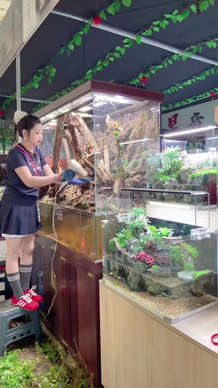 别看长得小,造景有技巧别看长得瘦,浑身是肌肉