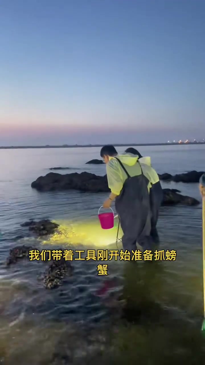 当美丽的鲅鱼公主偶遇浪漫d的荧光海是有多惊喜和幸运!