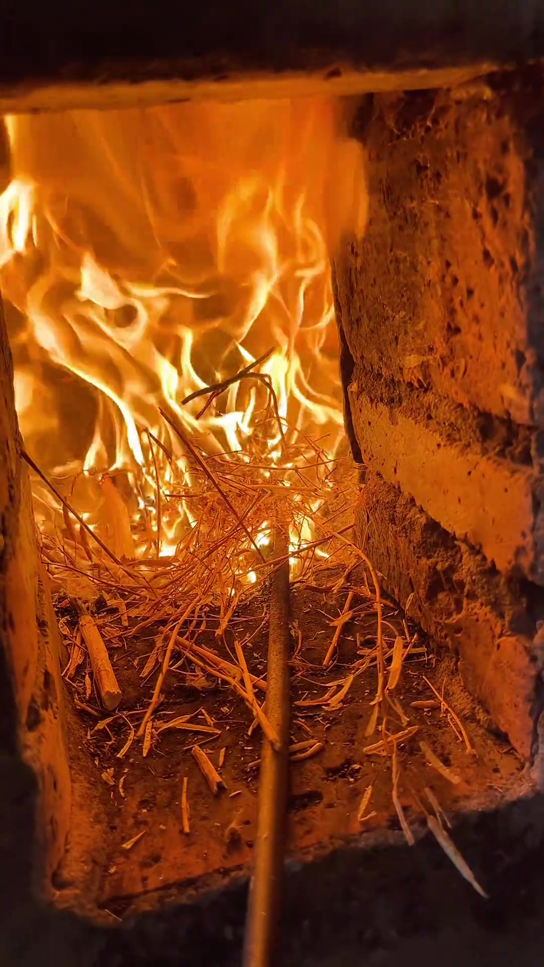 苏北杂鱼锅贴，食材丰富多样，味道鲜美可口