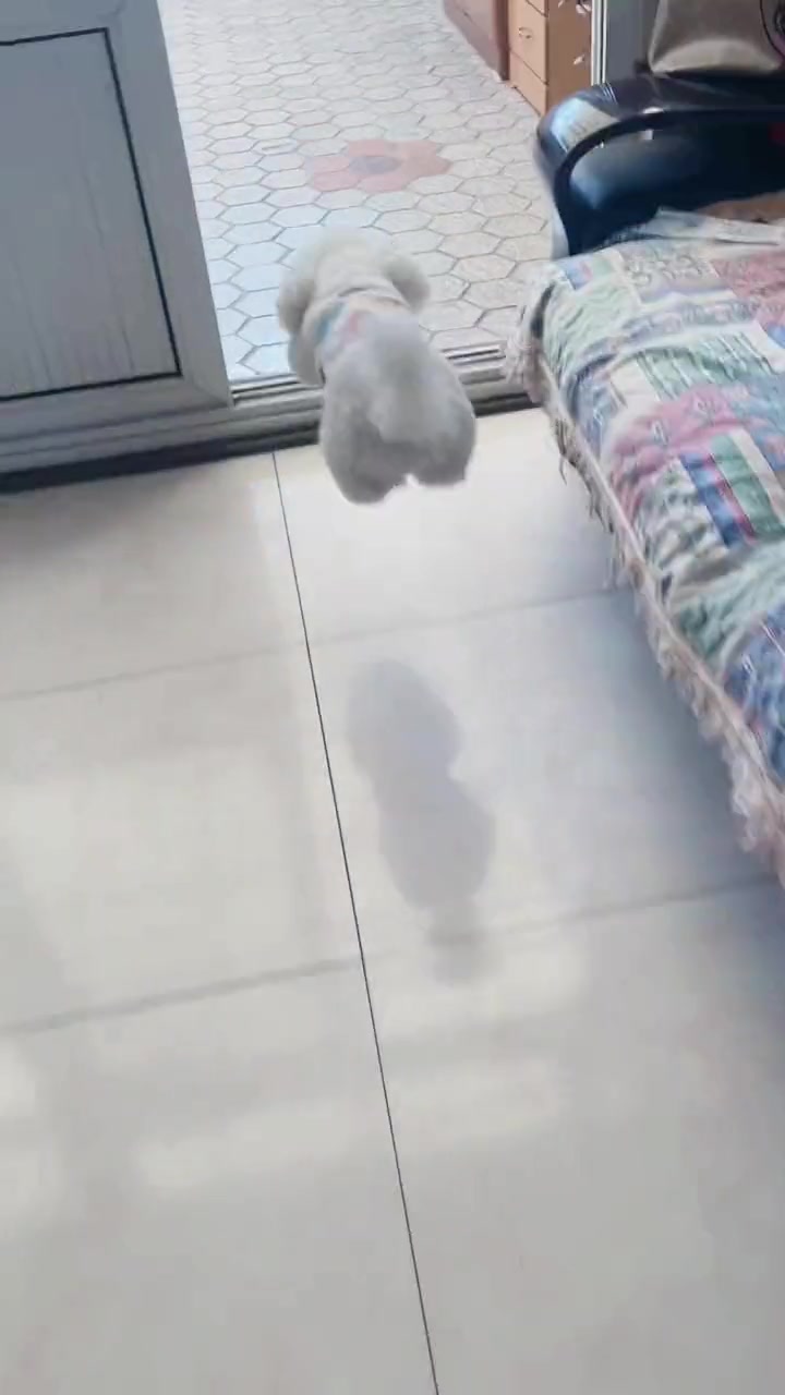 毛豆妹妹也来姥姥家啦，太开心了